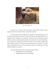 Veisimo metodai gyvulininkystėje 5 puslapis