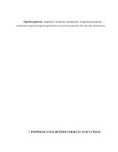 Rašymo ir raštinės prekės 11 puslapis