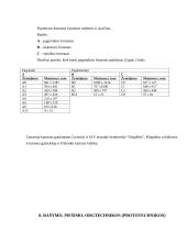 Rašymo ir raštinės prekės 12 puslapis