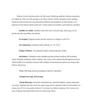 Rašymo ir raštinės prekės 14 puslapis