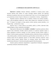 Rašymo ir raštinės prekės 6 puslapis