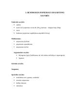 Rašymo ir raštinės prekės 7 puslapis