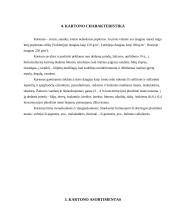 Rašymo ir raštinės prekės 8 puslapis