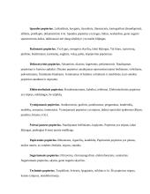 Rašymo ir raštinės prekės 10 puslapis