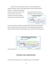 Verslo draudimas Lietuvoje 13 puslapis