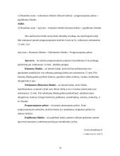 Verslo draudimas Lietuvoje 14 puslapis