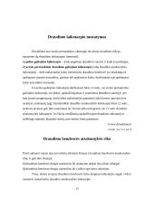 Verslo draudimas Lietuvoje 15 puslapis