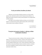 Verslo draudimas Lietuvoje 17 puslapis