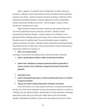 Verslo draudimas Lietuvoje 18 puslapis