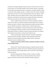 Verslo draudimas Lietuvoje 19 puslapis