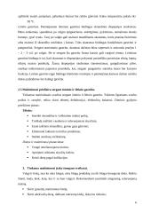 Sergančiųjų skrandžio ligomis reikalavimai maitinimosi priežiūrai 6 puslapis