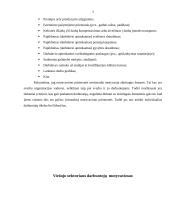 Viešojo sektoriaus darbuotojų motyvavimas 3 puslapis