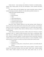 Viešojo sektoriaus darbuotojų motyvavimas 4 puslapis