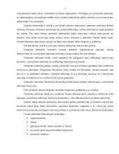 Viešojo sektoriaus darbuotojų motyvavimas 5 puslapis