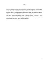 Žemaitijos regiono vestuvių papročių inovacijos 5 puslapis