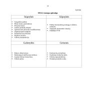 Administracinės praktikos ataskaita: baras Klaipėdoje 20 puslapis