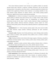 Administracinės praktikos ataskaita: baras Klaipėdoje 6 puslapis