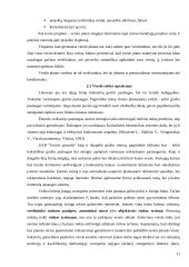 Verslo planas: grožio salonas UAB "Grožio pasaulis" 11 puslapis