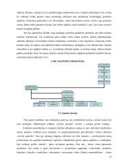 Verslo planas: grožio salonas UAB "Grožio pasaulis" 12 puslapis