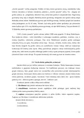 Verslo planas: grožio salonas UAB "Grožio pasaulis" 13 puslapis