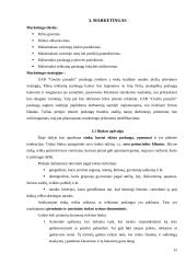 Verslo planas: grožio salonas UAB "Grožio pasaulis" 15 puslapis