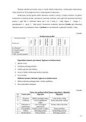 Verslo planas: grožio salonas UAB "Grožio pasaulis" 17 puslapis