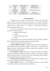 Verslo planas: grožio salonas UAB "Grožio pasaulis" 18 puslapis