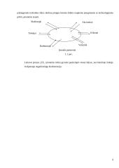 Verslo planas: grožio salonas UAB "Grožio pasaulis" 9 puslapis