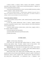 Civilinės teisės praktikos ataskaita: autorinės teisės VšĮ "Darbo išteklių agentūra" 4 puslapis