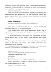 Civilinės teisės praktikos ataskaita: autorinės teisės VšĮ "Darbo išteklių agentūra" 6 puslapis