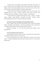 Civilinės teisės praktikos ataskaita: autorinės teisės VšĮ "Darbo išteklių agentūra" 8 puslapis