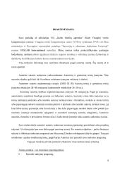 Civilinės teisės praktikos ataskaita: autorinės teisės VšĮ "Darbo išteklių agentūra" 9 puslapis