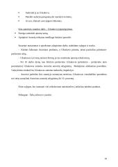 Civilinės teisės praktikos ataskaita: autorinės teisės VšĮ "Darbo išteklių agentūra" 10 puslapis