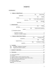 Verslo planas: grožio salonas UAB "Stileiva" 2 puslapis