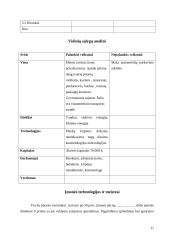 Verslo planas: grožio salonas UAB "Stileiva" 11 puslapis