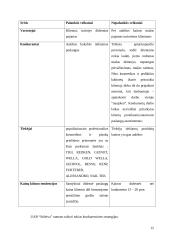 Verslo planas: grožio salonas UAB "Stileiva" 15 puslapis