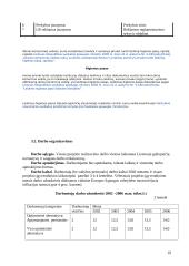 Verslo planas: grožio salonas UAB "Stileiva" 19 puslapis