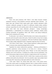 Verslo planas: grožio salonas UAB "Stileiva" 3 puslapis