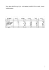 Verslo planas: grožio salonas UAB "Stileiva" 4 puslapis