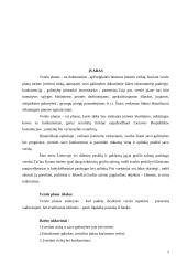 Verslo planas: grožio salonas UAB "Stileiva" 5 puslapis