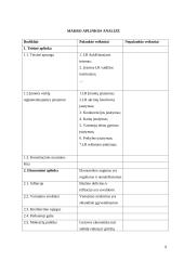 Verslo planas: grožio salonas UAB "Stileiva" 9 puslapis