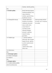 Verslo planas: grožio salonas UAB "Stileiva" 10 puslapis