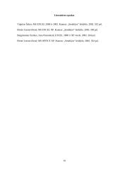 Informacinių technologijų praktikos ataskaita 19 puslapis