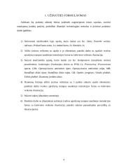 Informacinių technologijų praktikos ataskaita 4 puslapis