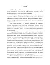 Verslo planas: krovinių pervežimas AB "Laikas" 2 puslapis