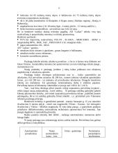 Verslo planas: krovinių pervežimas AB "Laikas" 11 puslapis