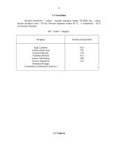 Verslo planas: krovinių pervežimas AB "Laikas" 15 puslapis