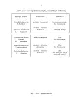 Verslo planas: krovinių pervežimas AB "Laikas" 16 puslapis