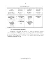 Verslo planas: krovinių pervežimas AB "Laikas" 17 puslapis