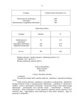 Verslo planas: krovinių pervežimas AB "Laikas" 19 puslapis